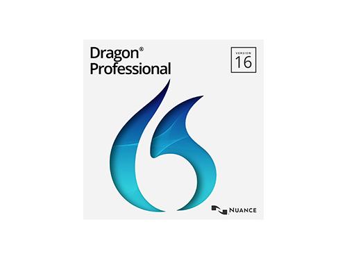 Dragon Professional 16 on USB